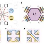 研究前沿：量子光子网络 | Nature Photonics