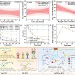 南京师范大学杨维本团队尹中龙AFM：靶向回收络合态重金属制备混合金属MOFs电催化膜实现自由基与非自由基路径可控调节