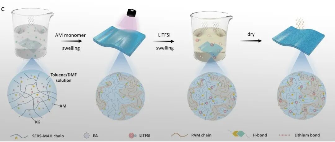 上海工程技术大学宋仕强团队 AM：应变诱导离子通道排列与温度激活离子门控实现超高电导增强-打造宽温域、高韧性全固态离子弹性体