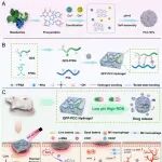 西南医科大学口腔医院蔡蕊/陶刚/何芸 CEJ：一种负载双金属酚类纳米粒子的pH/ROS双响应型水凝胶用于加速糖尿病伤口愈合