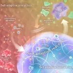 浙江大学高长有团队 Prog. Mater. Sci.：用于组织修复的自适应性生物材料