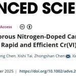 华北电力大学/广东医科大学Advanced Science：分级多孔氮掺杂碳材料及其高效催化还原Cr(VI)