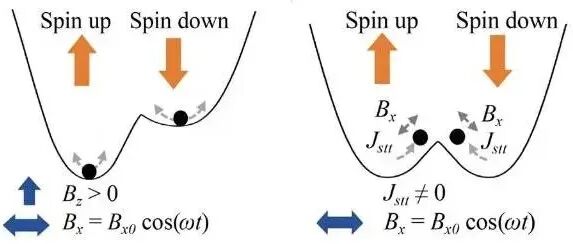磁性体系平衡与非平衡相变临界点的预测 | 进展