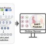 浙江大学庄树林课题组ES&T：DART Predictor：基于暴露场景参数的发育与生殖毒性预测模型