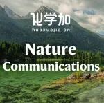 河南大学纳米科学与材料工程学院申怀彬团队在Nat. Commun. 上发表最新研究成果