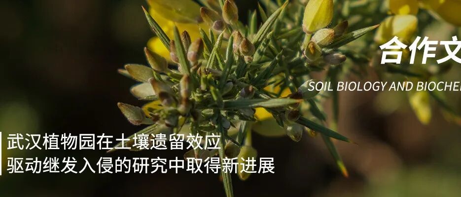 在Nat Commun、JIPB、PBJ、SBB、PJ等期刊发表多篇文章，这家专业实验室植物+土壤检测项目大全