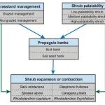 Journal of Applied Ecology | 祁连山高寒草甸生态系统灌木扩张研究方面取得新进展