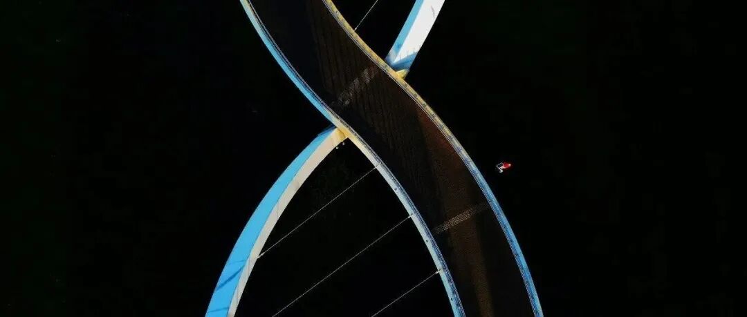 【发光材料】AS：Pt(II)发光体分子刚性与轨道工程的双重调控实现高性能深蓝光OLED