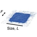 二维玻色气体-量子材料 | Science