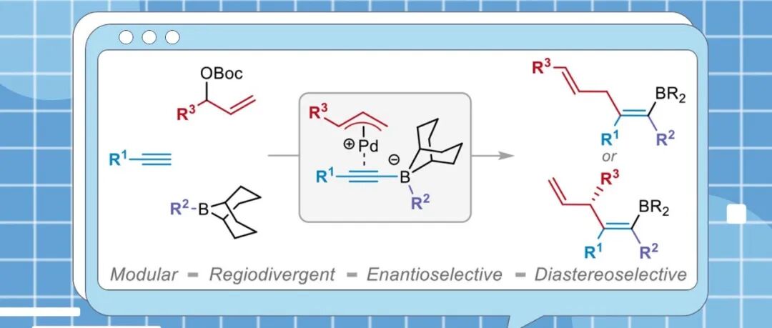 【JACS】华盛顿大学Gojko Lalic：端炔的对映选择性三官能团化反应