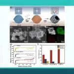 【Angew. Chem.】大连化物所吴忠帅/内蒙古大学刘健：N/O双掺杂多级孔碳纳米反应器实现工业级H₂O₂电合成