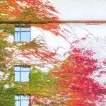 研究前沿：清华大学罗三中/杨骐：AI+分子催化，化学信息学 | Nature Synthesis