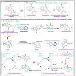 福建农林大学袁占辉教授团队 Nat. Commun.：光催化生物质转化方面新进展→共轭有机框架光催化串联反应构建官能化γ-内酰胺