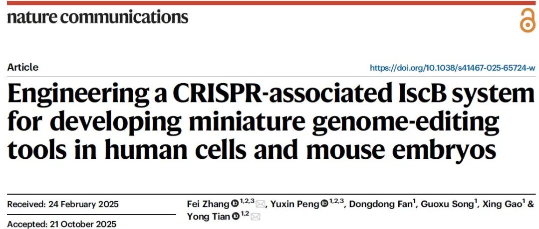 NC：超小型 IscB 的工程化与基因编辑应用