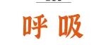 Adv Sci丨姜虎林/成宪武团队调控机械和生化信号串扰治疗特发性肺纤维化