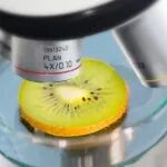 APPS | 用于农药残留检测的表面增强拉曼光谱生物传感器平台：最新发展和未来展望