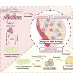 Adv Sci | 免疫治疗新见解！复旦大学邱君君等团队：癌症治疗潜在靶点
