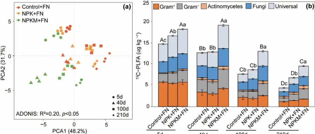 真菌残体碳利用丨BIOL FERT SOILS：稻田土壤中真菌残体的命运取决于施肥情况