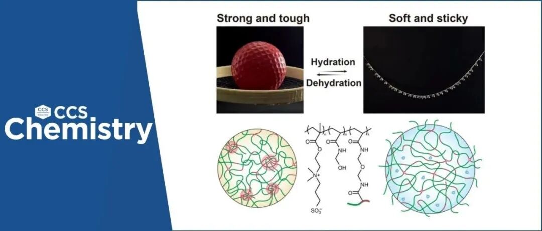 【CCS Chem.】东华大学武培怡/孙胜童团队：“遇水即粘”的超强智能纤维