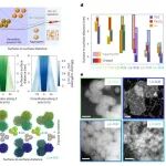 中国青年学者联手，打造“超级热胀”材料，登上Nature Materials！