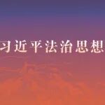 杨青玖：坚定法治自信 主动担当作为 以高水平法治公安建设助力提升社会治理效能