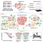 哈尔滨医科大学李永生等团队合作最新Cell子刊