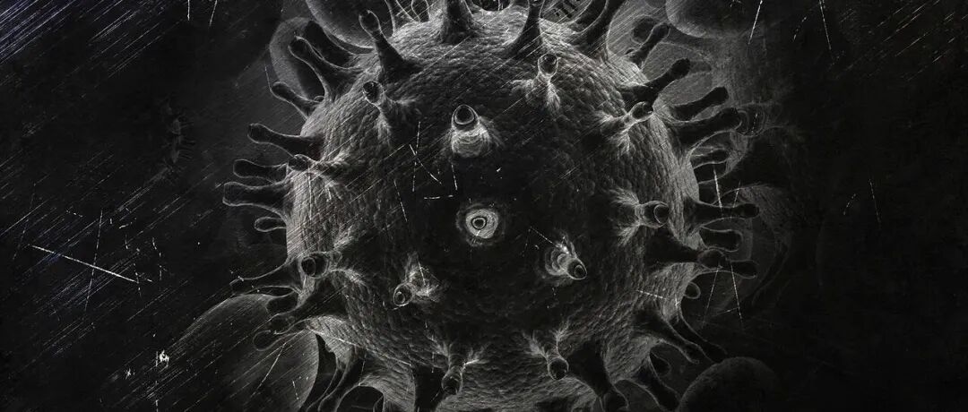 全球第7位HIV治愈病例出现：停药7年多后仍未检测到艾滋病毒 | 科研圈日报