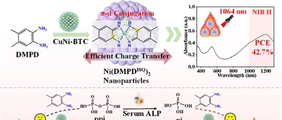 AC. CuNi-MOF设计的π-d共轭配位纳米颗粒：一种用于生物传感的合理设计的近红外二区光热平台