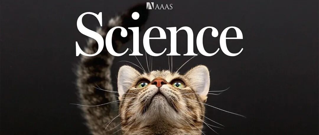 Science作者解读｜中国科大利用可编程超导量子处理器首次实现并探测高阶非平衡拓扑物态