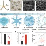 港城大/华南理工《Advanced Materials》：水凝胶“孔工程”实现高效空气取水