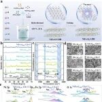 中国矿业大学/扬州大学AM：阴阳离子双缺陷驱动“晶格软化”NiFeAlx LDH，实现高倍率、长寿命氯离子二次电池
