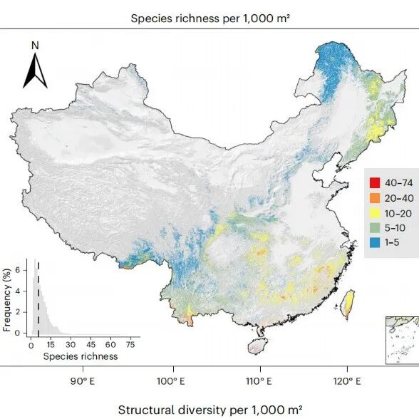 Nature Ecology & Evolution |华南植物园联合研究揭示中国森林树种丰富度与结构多样性的空间格局及未来潜力