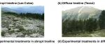 Journal of Ecology | 十年野外实验揭示高山树线受种子供给与更新限制共同调控
