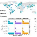 Nature Communications | 成都生物所庞学勇团队在揭示人类世全球植物β多样性变化中取得重要进展