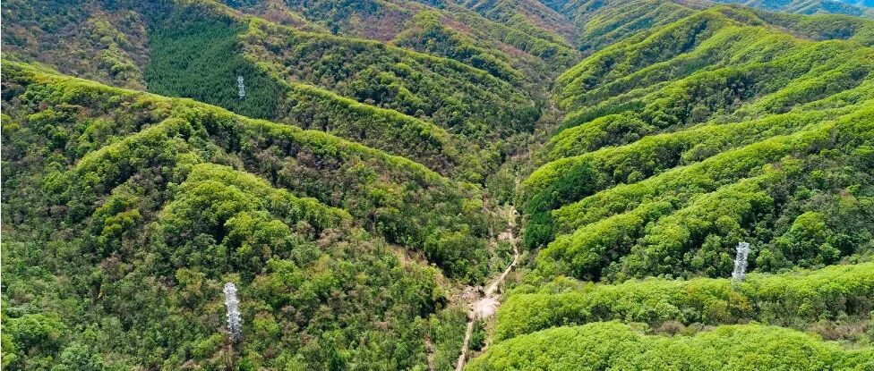沈阳生态所稳定同位素生态学团队《PNAS》最新成果！