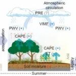 东北地理所《Communications Earth& Environment》期刊发文揭示中国植被物候提前对降雨强度的影响过程