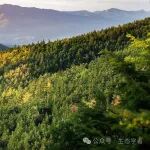 沈阳生态所王绪高研究员团队1区Top期刊最新成果！首次在温带成熟森林揭示冬季冻融、夏季水分和邻域竞争对树木生长的相对作用
