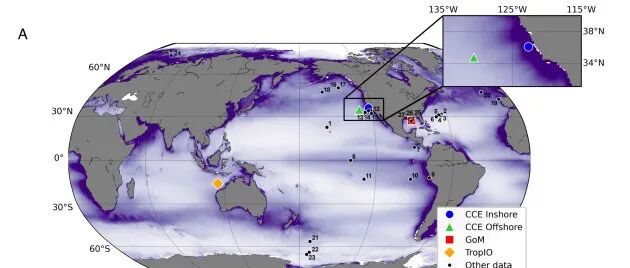 PNAS：海洋“成岩时钟”，深海碳封存的分子机制