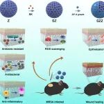 ACS Nano：多功能MOF异质结用于对抗抗生素耐药性和促进再生免疫