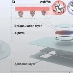 AFM | 华中科技大学吴豪教授 ：多模态表皮传感器驱动的痉挛等级客观评估