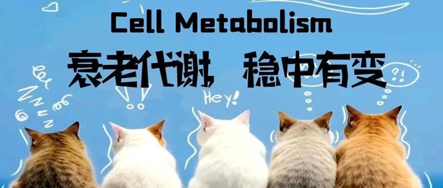 Cell Metabolism：衰老代谢，稳中有变