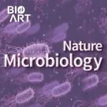 Nat Microbiol | 倪岳琼等系统性揭示肠道菌群酶对膳食植物营养素的生物转化及其健康效应