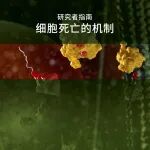 干货下载｜研究者指南：细胞死亡的机制