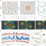 中国青年学者联手，打造“超级热胀”材料，登上Nature Materials！
