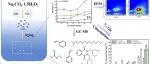 文献速递|上海电力大学JHM:紫外线/过碳酸钠氧化作用下的聚苯乙烯微塑料老化： 有机物释放、机理和消毒副产品的形成