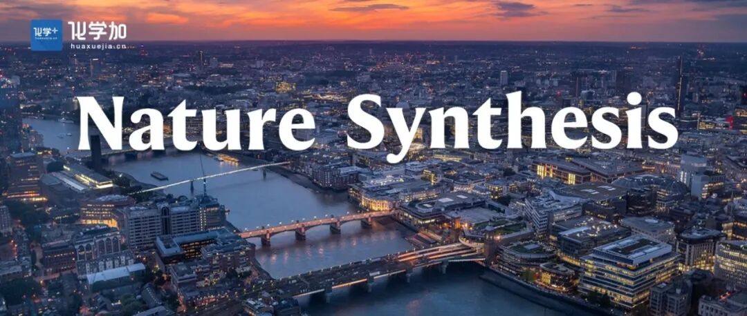 北京大学宋颂/焦宁团队Nat. Synth.：吡啶间位选择性卤化反应