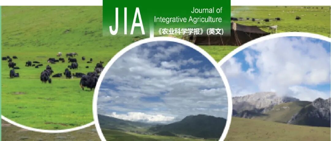 JIA专题回顾 | “草地生态系统变化与适应性管理”专题