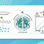 【Angew. Chem.】北师大曹玮教授课题组：辐射响应凝聚体实现放疗调控的生物催化