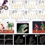 福建理工林肇星、陈汀杰、彭响方/日本信州大学施建 Carbon：可扩展的湿法纺丝法制备多功能导电改性TPU纤维用于柔性可穿戴传感