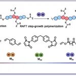 苏大朱健、UNC尤为 Macromolecules：通过RAFT单个单体插入和RAFT逐步聚合模块化合成ABAC型三元周期聚合物